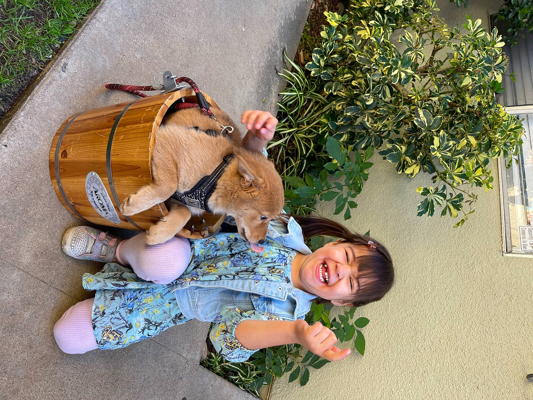 Bonnie Bautista joined the competition — help win amazing prizes! baby_toddler_clothing, bag, child, doll, fashion_accessory, fawn, fun, fur, grass, happy, hat, headgear, leisure, person, plush, sitting, smile, stuffed_toy, toddler, toy