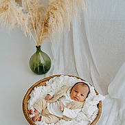 Kalena a rejoint le concours — aidez-le/la à gagner de superbes lots ! baby, basket, blanket, brown, cozy, cushion, fabric, fluffy, green_vase, infant, indoors, neutral_colors, pampas_grass, person, portrait, resting, soft_texture, white, woven, young_child