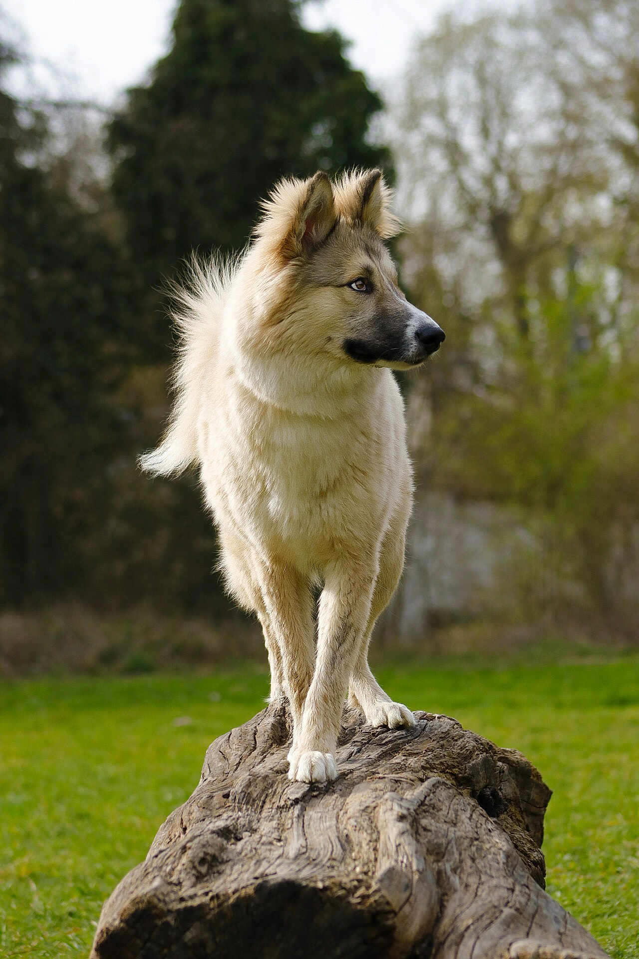 Hunter