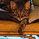 Ripley