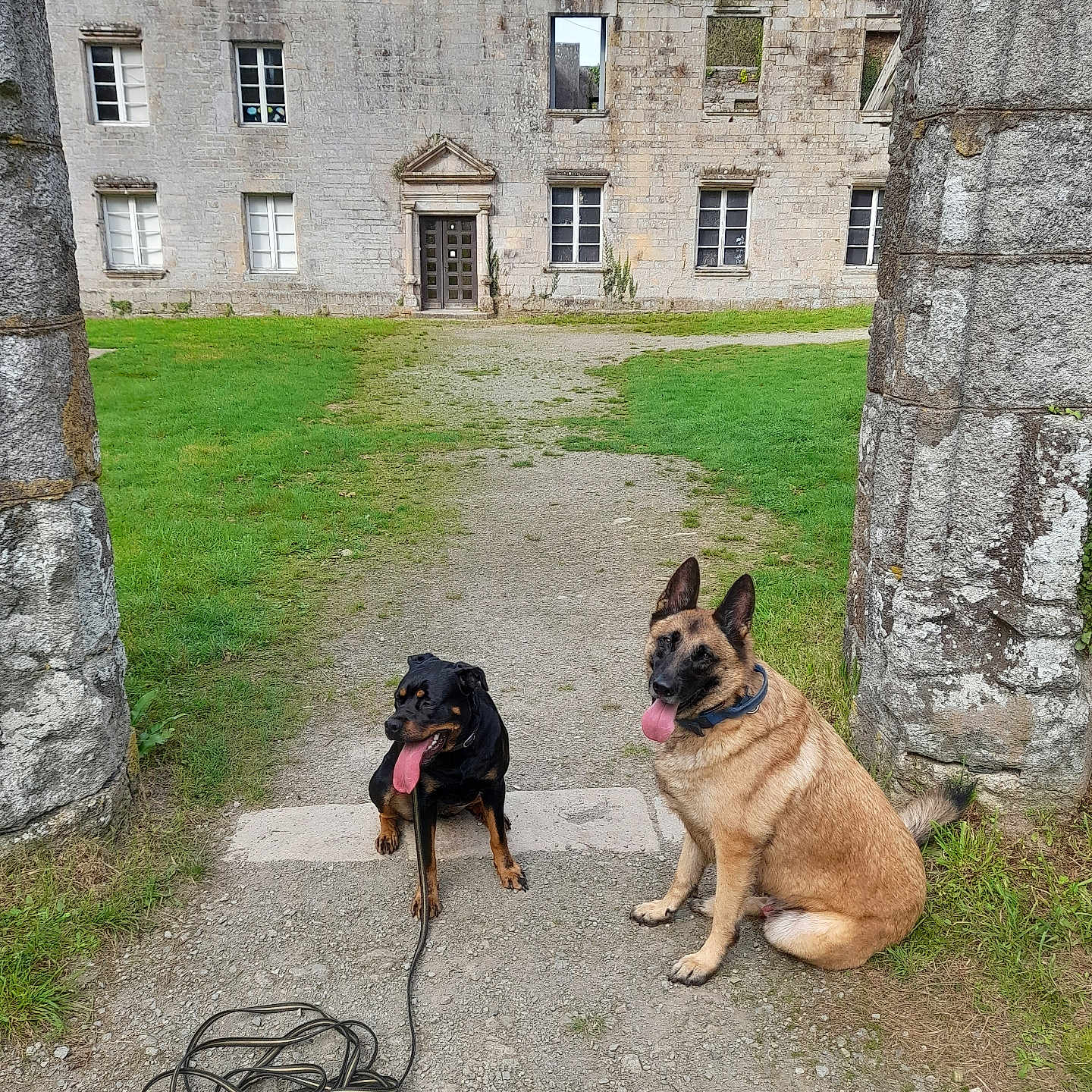Maestro Et Athena