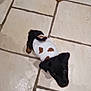 puppy, dog, pet, tile_floor, white_shirt, brown_spots, small_dog, black_fur, brown_fur, looking_up, indoor, floor, companion, animal, cute, domestic, legs, shadow, young_dog, canine