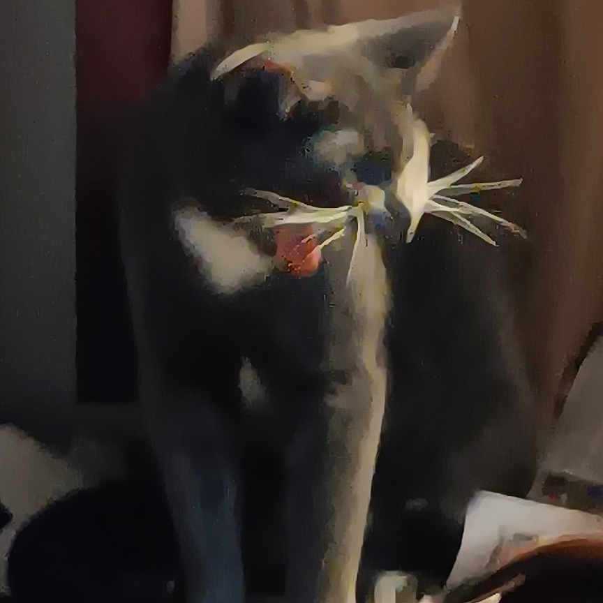 Buddy is registered to the contest to win money with this photo: animal, black_and_white_cat, blanket, cat, cozy, curtains, cushion, ears, feline, home, indoors, leaf, orange_cushion, paws, pet, plant, portrait, short_hair, sitting, whiskers