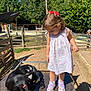 Rita participe au concours pour gagner de l'argent avec cette photo : animal, baby, baby_goat, child, curious, daylight, dress, farm, fence, grass, metal_platform, nature, outdoor, pet, playful, shadow, sneakers, sunny, toddler, trees