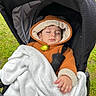 baby, blanket, bundle, child, cozy, cute, grass, hooded_jacket, infant, nature, orange_clothing, outdoor, peaceful, person, resting, sleeping, soft_texture, stroller, toddler, warm_clothing