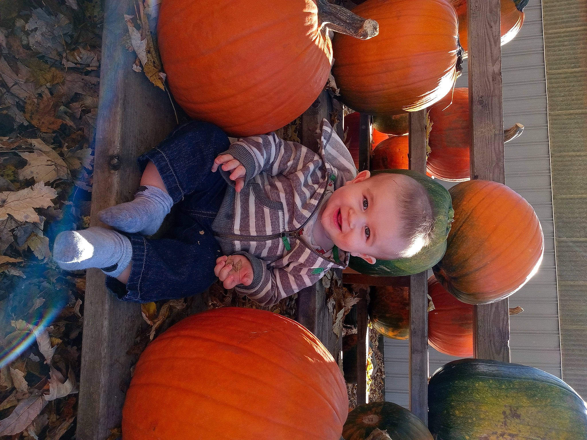 William is registered to the contest to win money with this photo: art, calabaza, cucurbita, fruit, fun, gourd, hat, human_body, joy, local_food, natural_foods, orange, people, person, plant, produce, pumpkin, squash, toddler, tradition