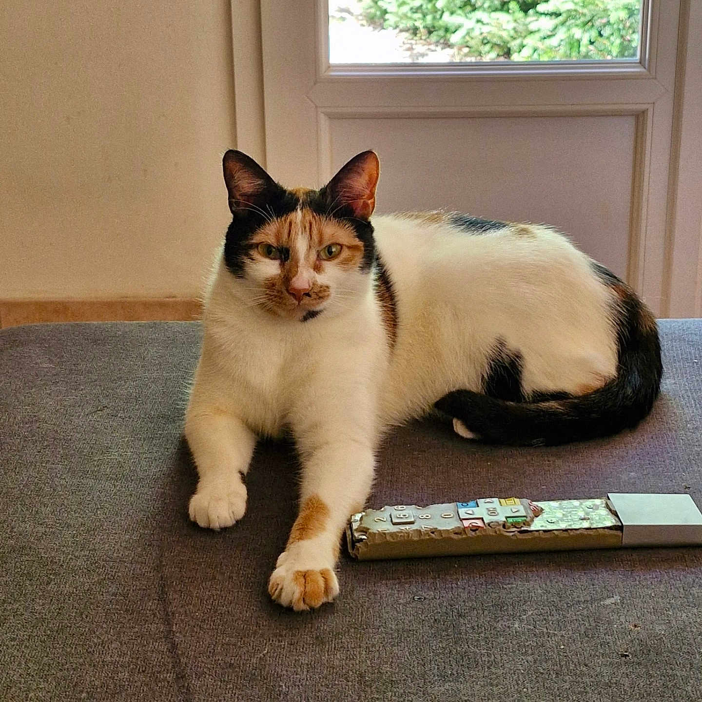 Chloé
