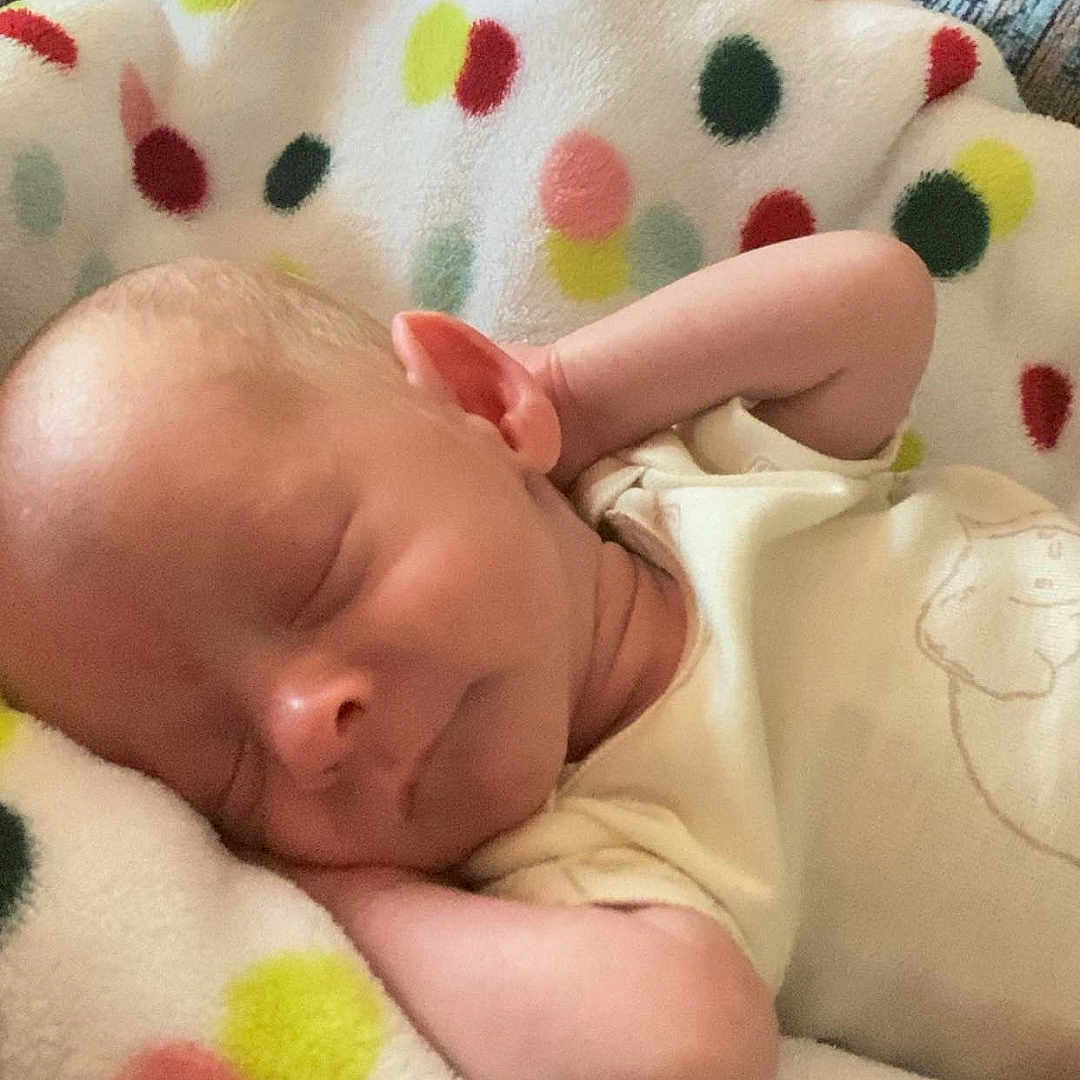 Matthew joined the competition — help win amazing prizes! animal, baby, ball, blanket, canine, cushion, dog, face, head, newborn, person, pet, photography, portrait, quilt, sleeping, sport, tennis, tennisball, yawning