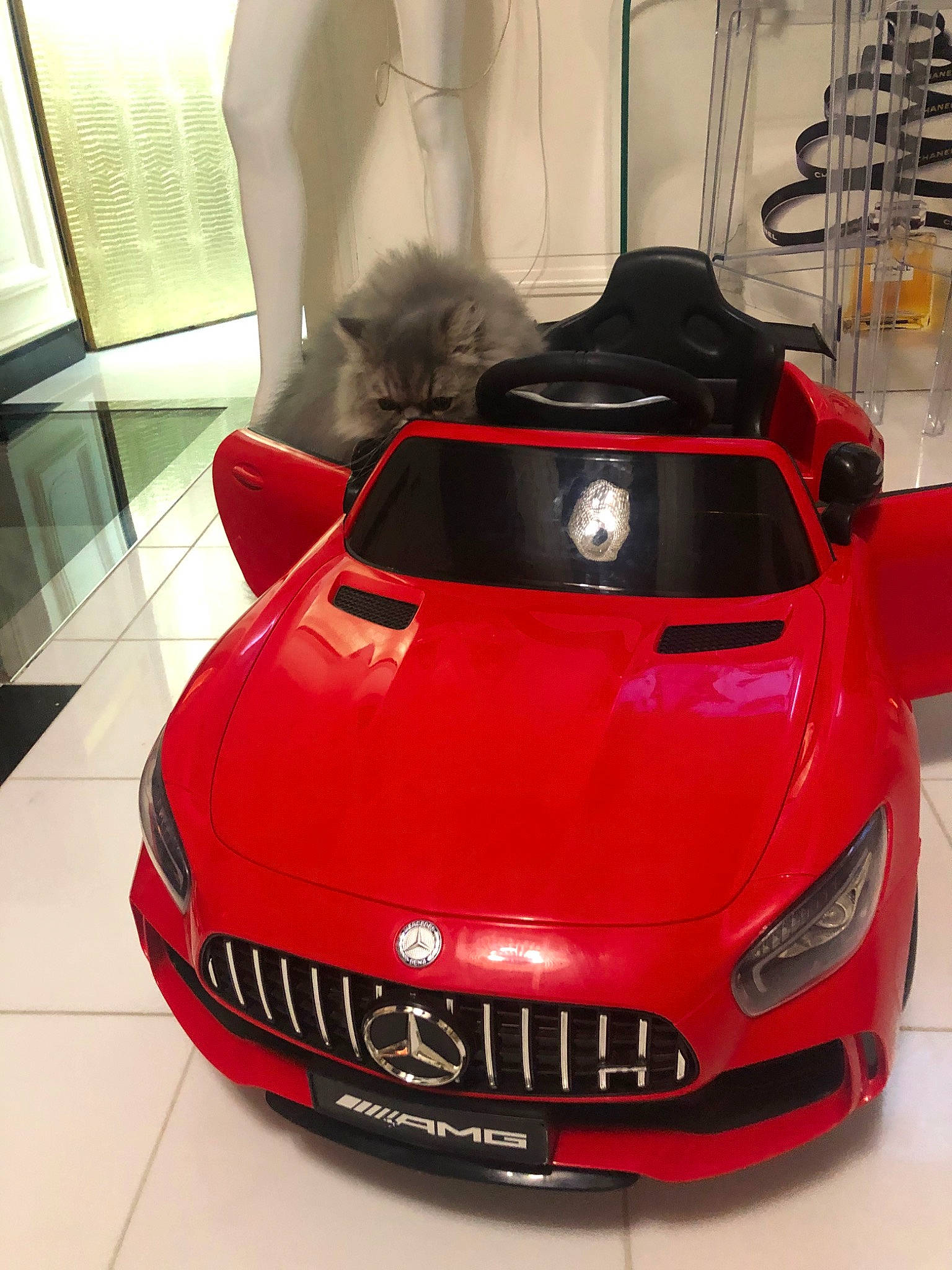 Antaeus a rejoint le concours — aidez-le/la à gagner de superbes lots ! auto_show, automotive_design, bmw, car, coupe, design, hood, luxury_vehicle, maserati, motor_vehicle, performance_car, personal_luxury_car, red, sports_car, supercar, vehicle