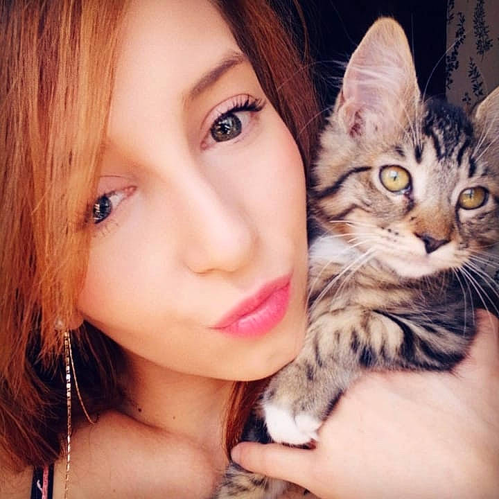 Ozie participe au concours pour gagner de l'argent avec cette photo : brown_hair, cat, cat_like_mammal, cheek, ear, eye, eyebrow, eyelash, face, forehead, fur, girl, iris, kitten, organ, person, small_to_medium_sized_cats, whiskers