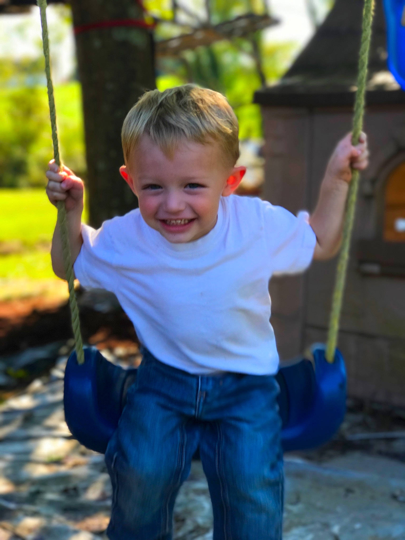 Coltan Newcomb joined the competition — help win amazing prizes! boy, child, fun, grass, happiness, joy, outdoor_play_equipment, person, play, playground, public_space, recreation, smile, swing, toddler, tree, vacation