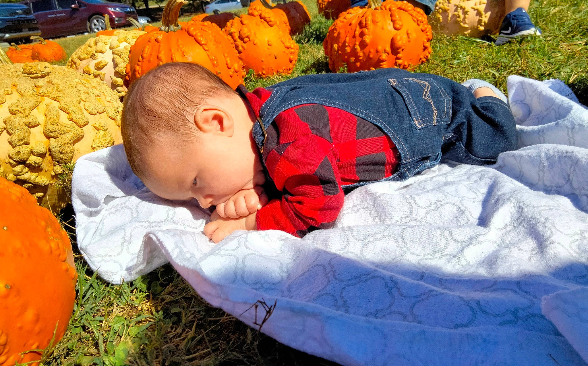 Camdyn joined the competition — help win amazing prizes! baby, baby_toddler_clothing, calabaza, child, comfort, cucurbita, gourd, grass, happy, leaf, leisure, natural_foods, orange, people, people_in_nature, person, plant, pumpkin, squash, toddler