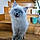 Albus