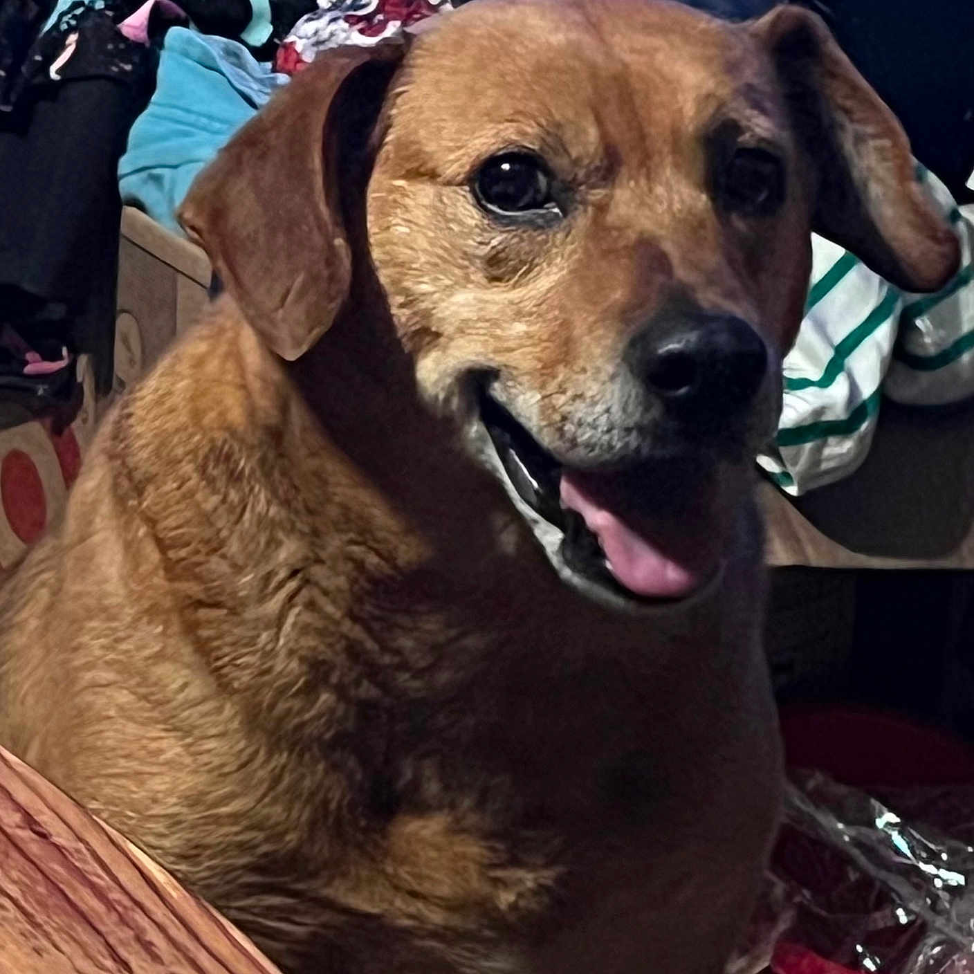Rusty