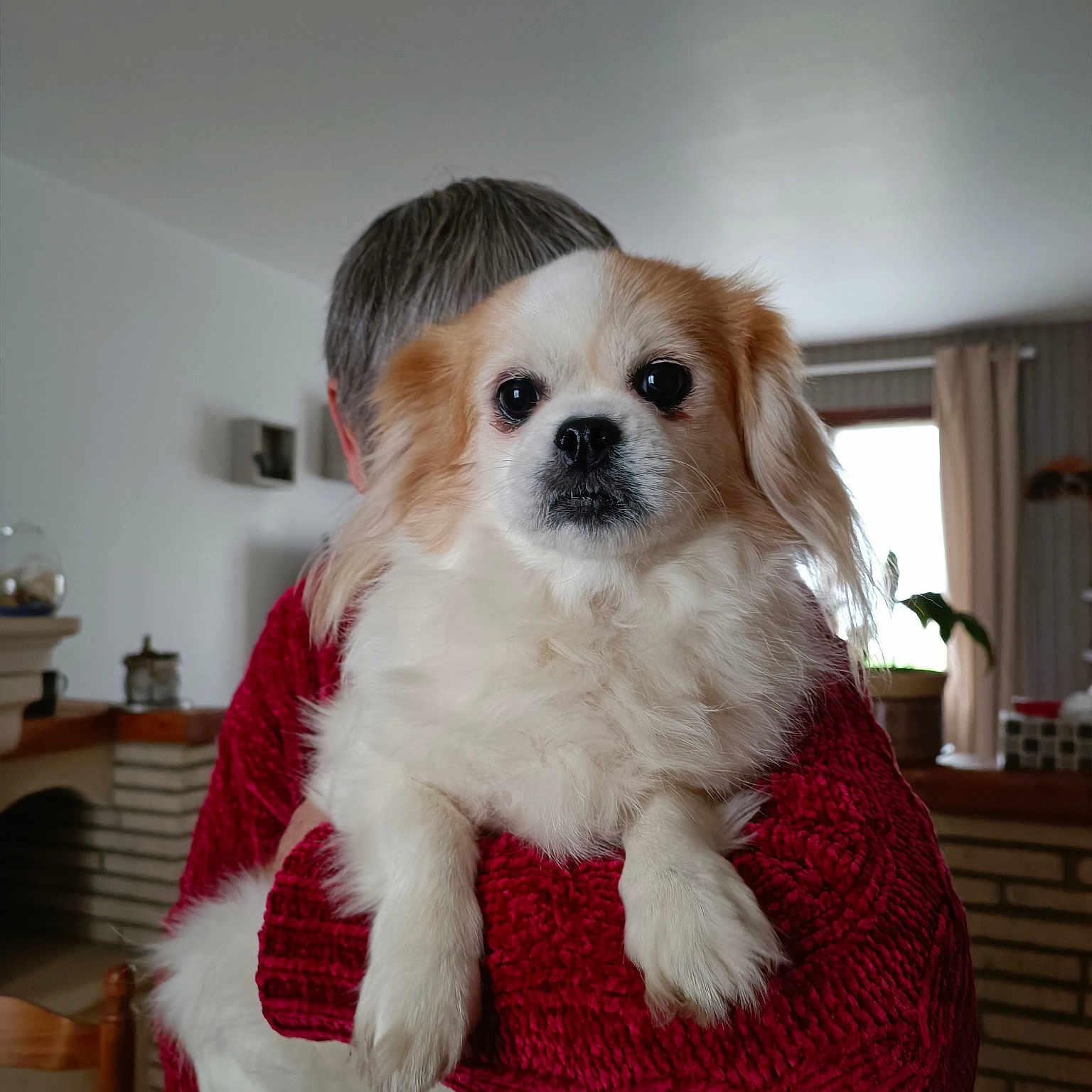 Lilou