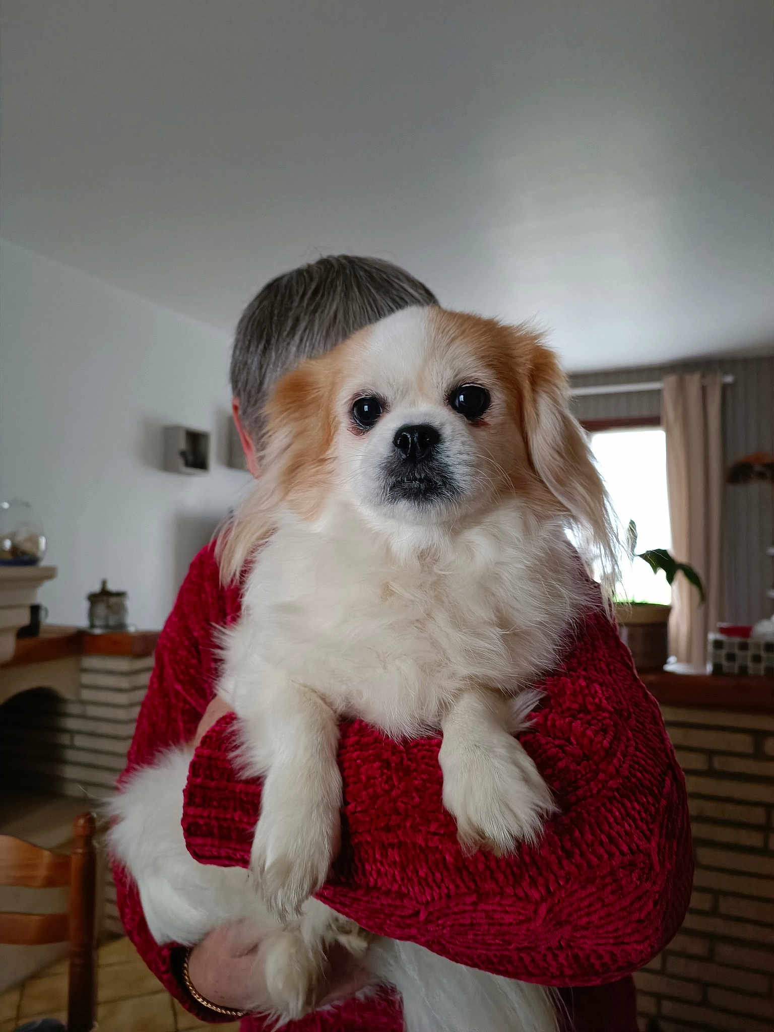 Lilou