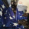 blanket, blue_blanket, cat, comfort, couch, cozy, curious, cushion, domestic_animal, feline, fur, indoor, living_room, looking_up, pet, resting, snug, soft_texture, stars_pattern, tortoiseshell