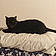 Binx