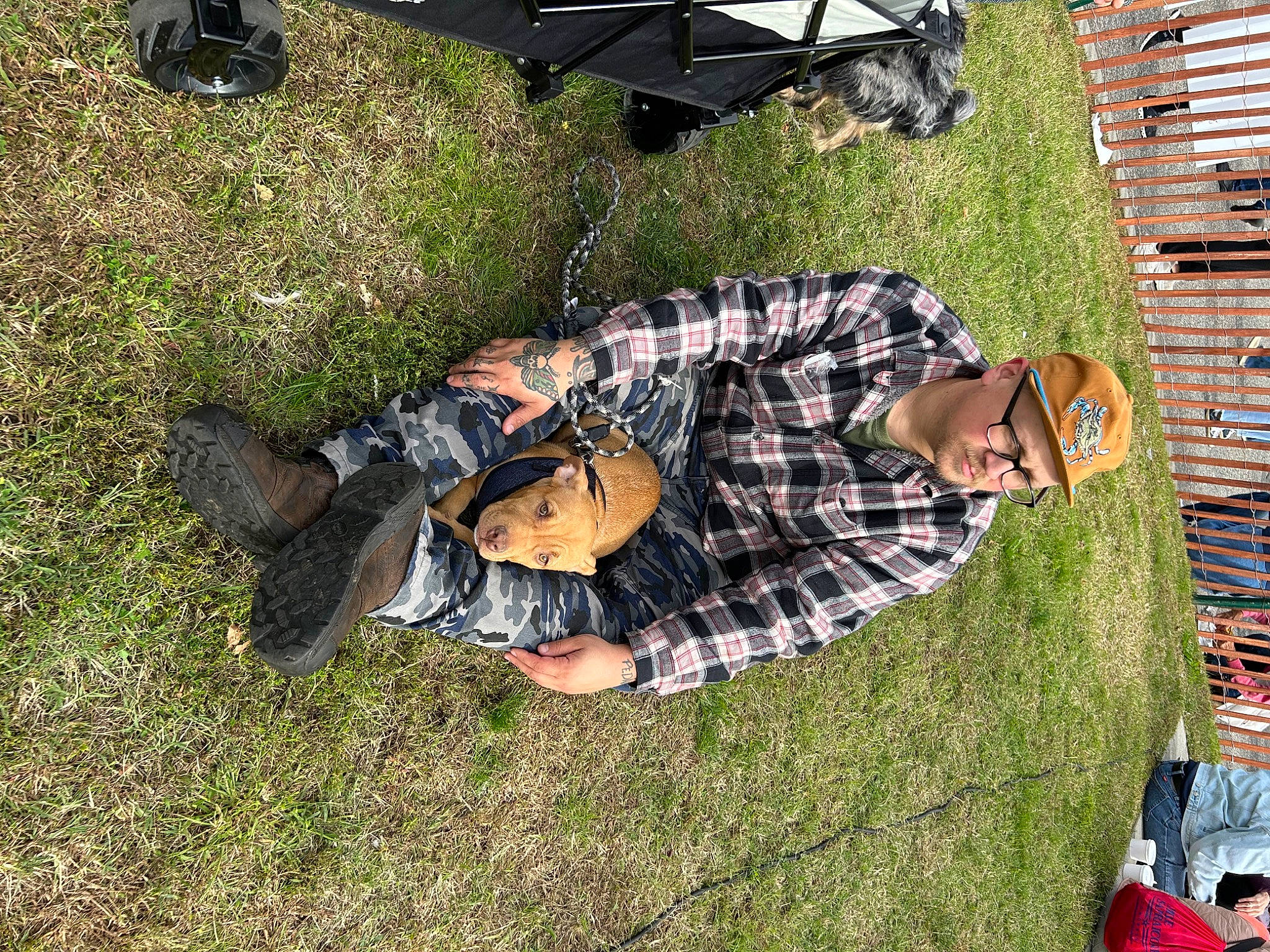 Dozer joined the competition — help win amazing prizes! bag, boot, fun, grass, hat, lawn, leisure, luggage_and_bags, pattern, plaid, recreation, shoe, sitting, sneakers, soil, tartan, tree, yard