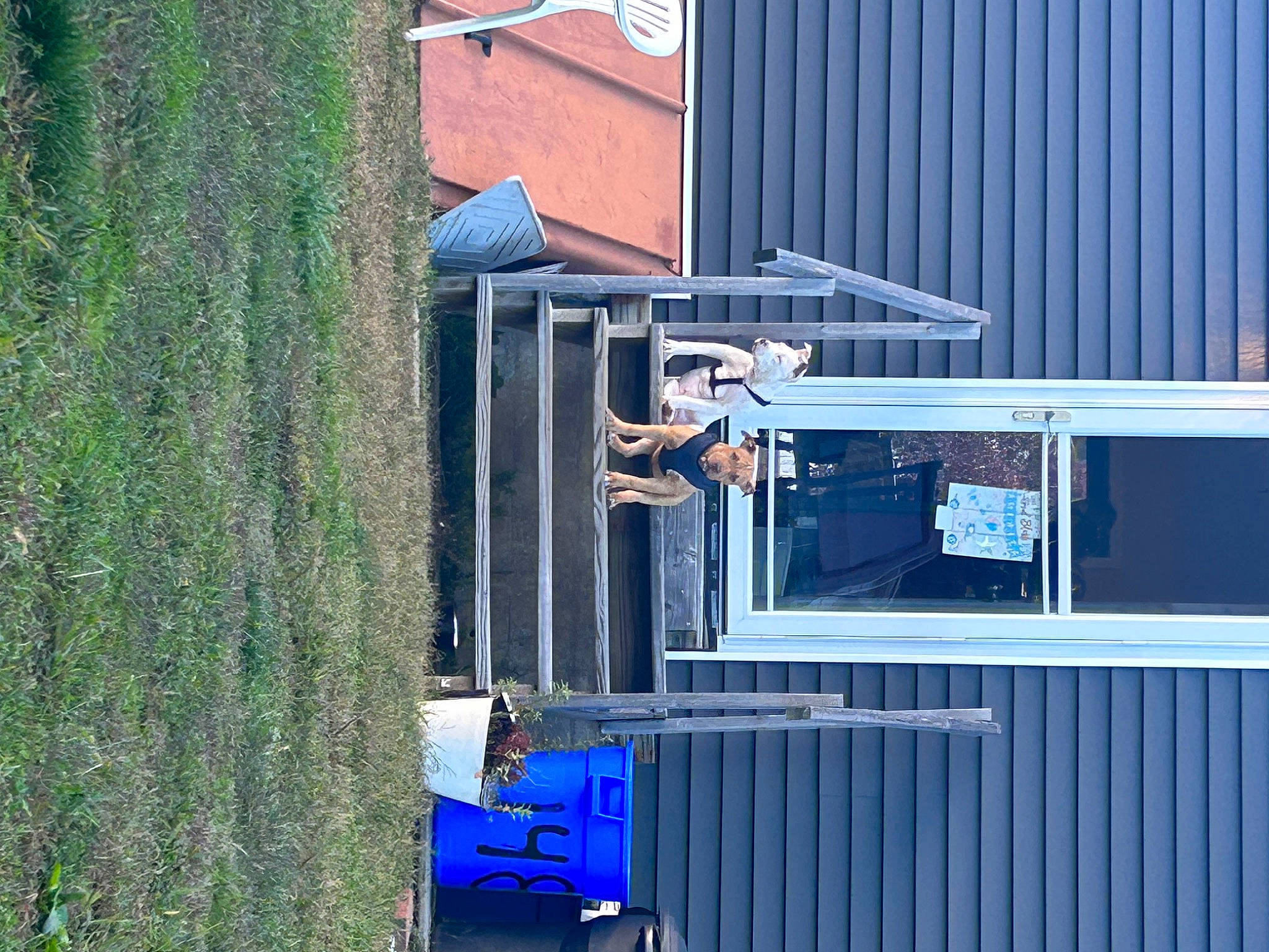 Dozer joined the competition — help win amazing prizes! advertising, asphalt, auto_part, automotive_exterior, blue, building, city, electric_blue, facade, grass, machine, motor_vehicle, plant, shrub, transport, wheel, wood