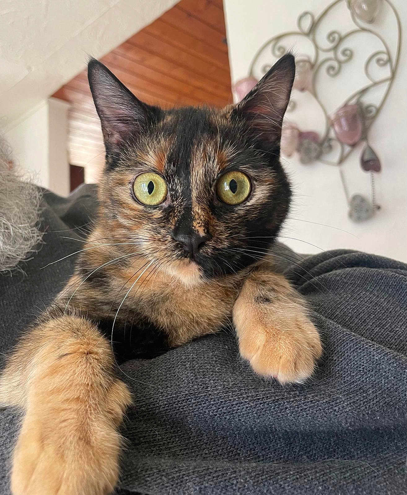 Nikita