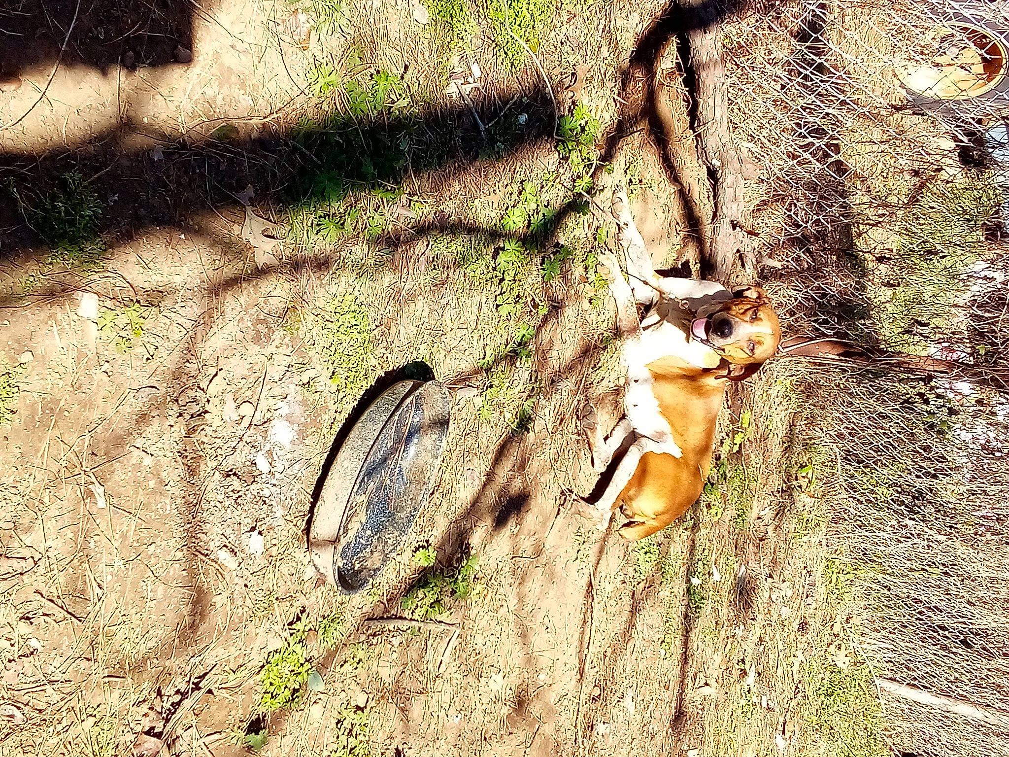 Tam Ann Renois is registered to the contest to win money with this photo: arthropod, bicycle_tire, fawn, forest, grass, grass_family, insect, landscape, organism, people_in_nature, plant, scorpion, soil, tail, terrestrial_animal, tree, trunk, twig, wildlife, wood