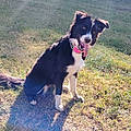 Louise O.