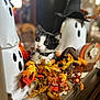 autumn_decor, black_and_white_cat, bokeh, cat, centerpiece, collar_with_bell, curious_expression, fall_leaves, ghost_decoration, halloween, indoor, kitten, mini_pumpkin, orange_colors, pumpkin, seasonal_decor, shallow_depth_of_field, stuffed_toy, tabletop, whiskers