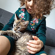 Chacha participe au concours pour gagner de l'argent avec cette photo : child, kitten, cat, curly_hair, green_dress, floral_embroidery, couch, indoor, hand, pet, cute, young, furry, lap, domestic_animal, comfort, closeup, portrait, relaxed, cozy