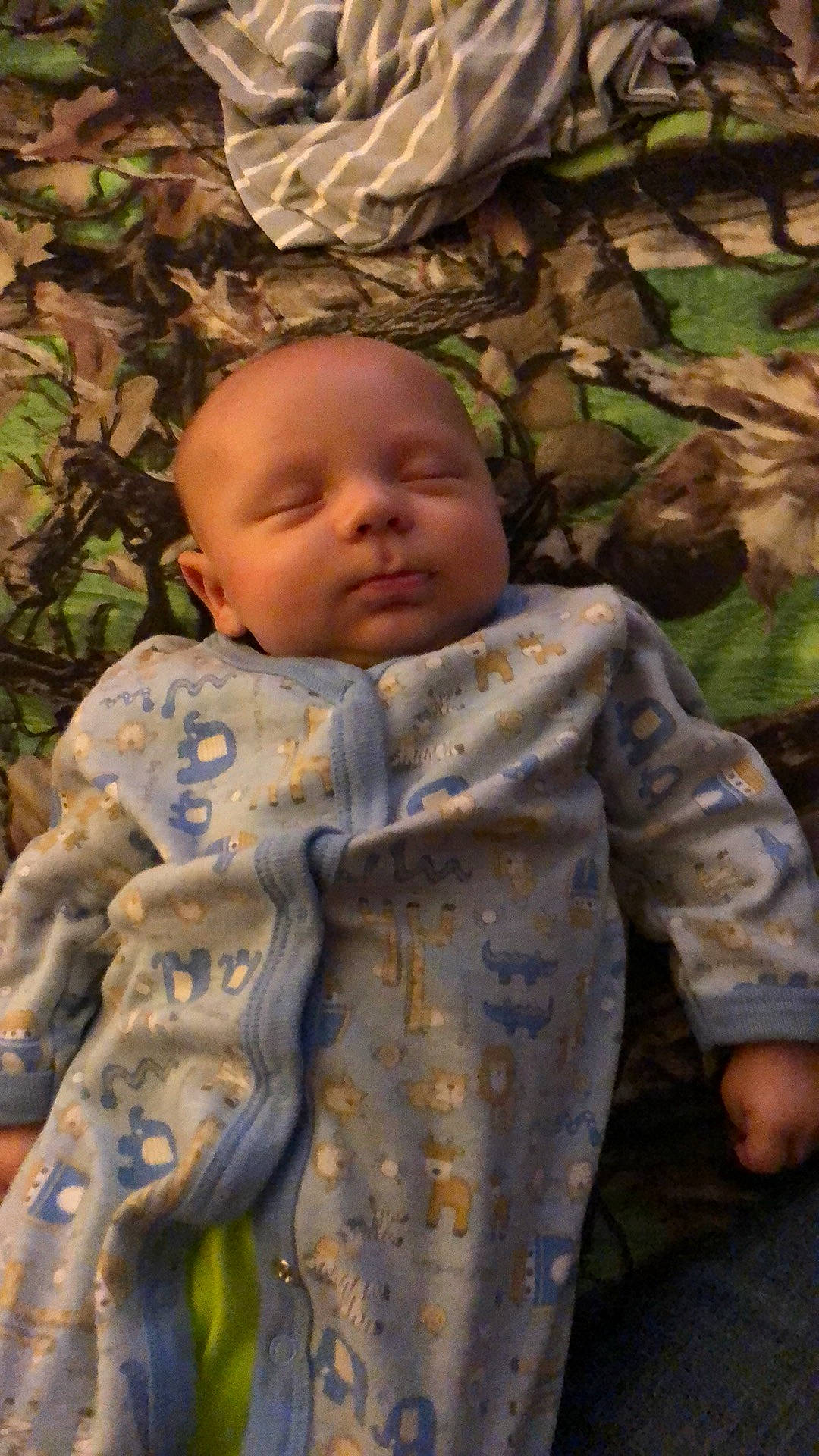 Memphis is registered to the contest to win money with this photo: baby, botany, cheek, child, forest, grass, happy, leaf, outerwear, pattern, people_in_nature, person, plant, sitting, skin, sleeve, spring, textile, toddler, tree