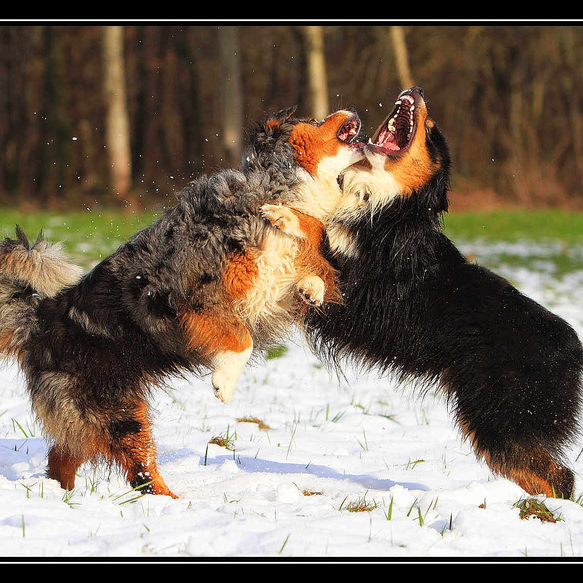 FLY--GWENN participe au concours pour gagner de l'argent avec cette photo :