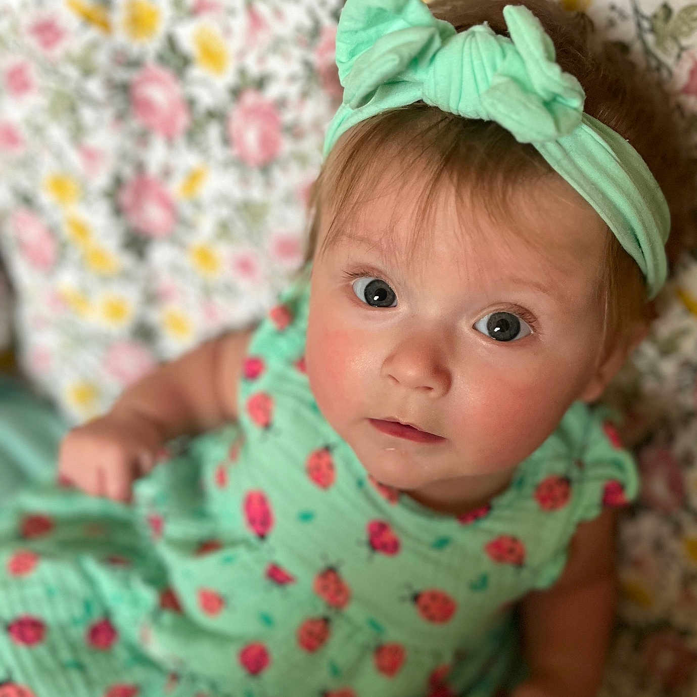 Halle joined the competition — help win amazing prizes! baby, child, headband, dress, ladybug_pattern, floral_background, portrait, cute, infant, looking_up, pink, yellow, green, patterned_clothing, closeup, young_child, indoors, soft_light, adorable, person