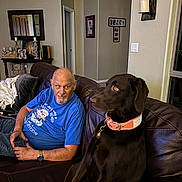 Bella joined the competition — help win amazing prizes! man, dog, labrador, couch, living_room, blue_tshirt, leather_couch, watch, collar, home_decor, photograph_frames, doorway, wall_candle, glass, seated, indoor, pet, brown_dog, adult, relaxed
