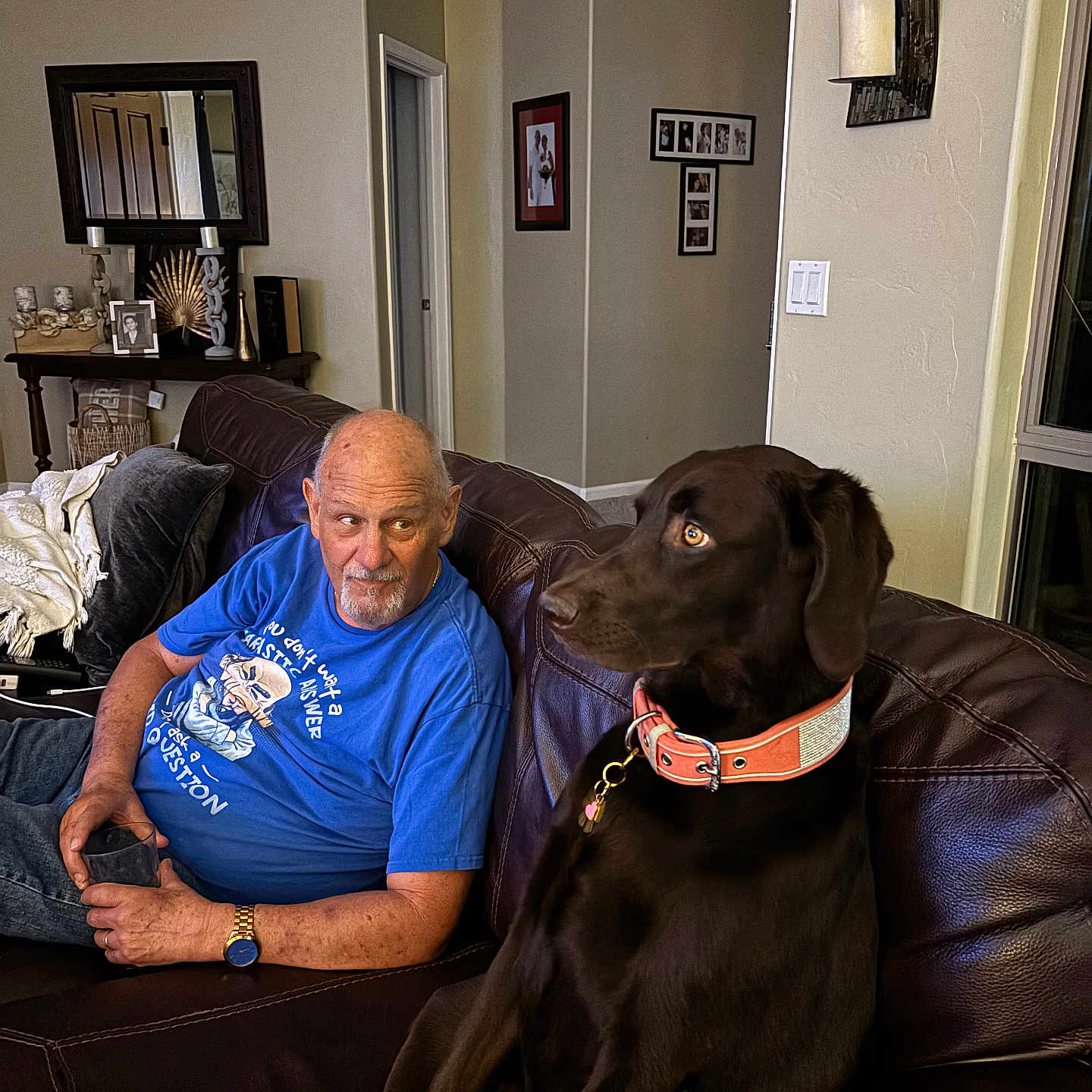 Bella joined the competition — help win amazing prizes! adult, blue_tshirt, brown_dog, collar, couch, dog, doorway, glass, home_decor, indoor, labrador, leather_couch, living_room, man, pet, photograph_frames, relaxed, seated, wall_candle, watch