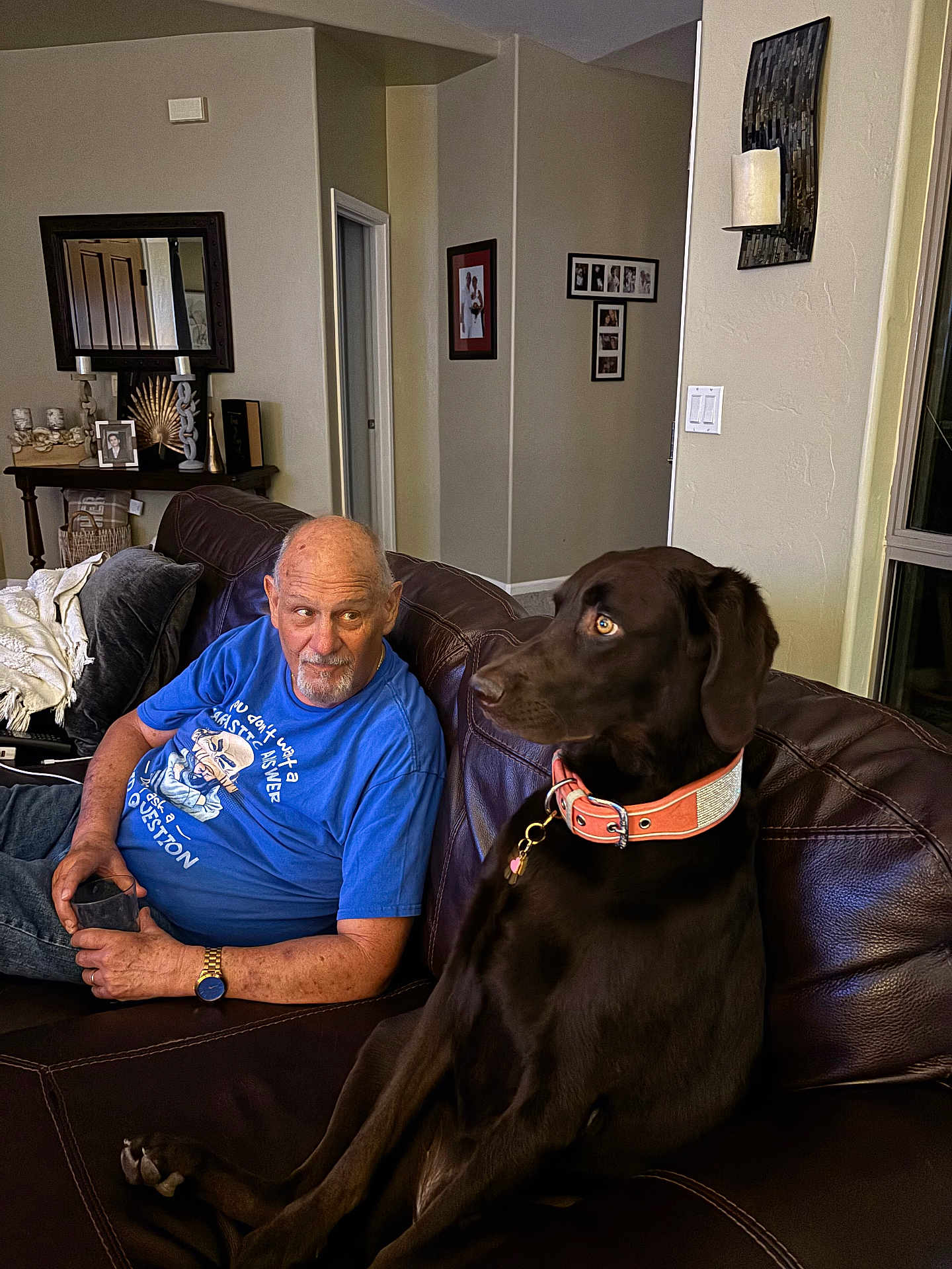 Bella joined the competition — help win amazing prizes! man, dog, labrador, couch, living_room, blue_tshirt, leather_couch, watch, collar, home_decor, photograph_frames, doorway, wall_candle, glass, seated, indoor, pet, brown_dog, adult, relaxed