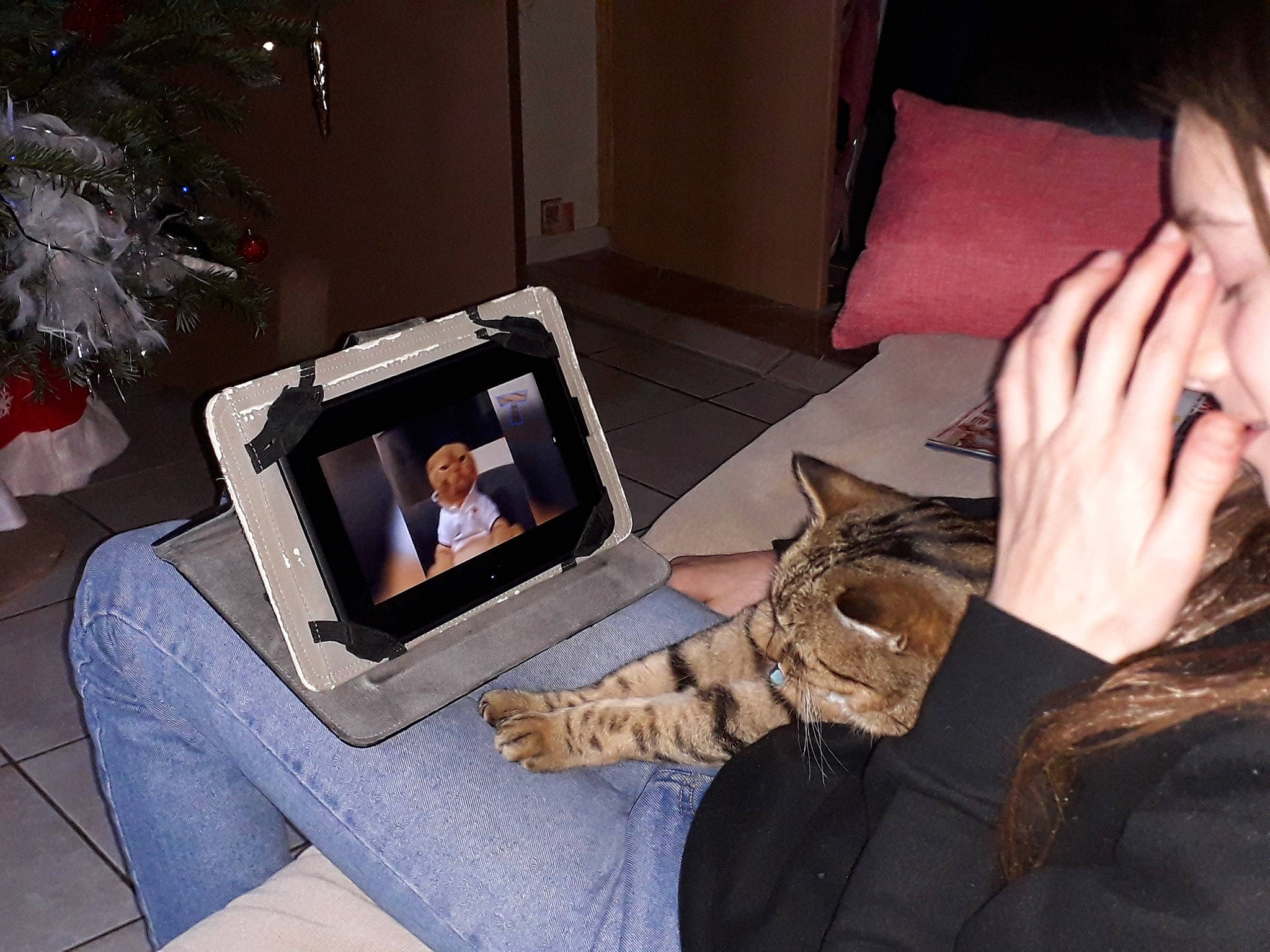 Louna a rejoint le concours — aidez-le/la à gagner de superbes lots ! carnivore, cat, domestic_short_haired_cat, fawn, felidae, fur, lap, leg, media, paw, room, small_to_medium_sized_cats, television, whiskers