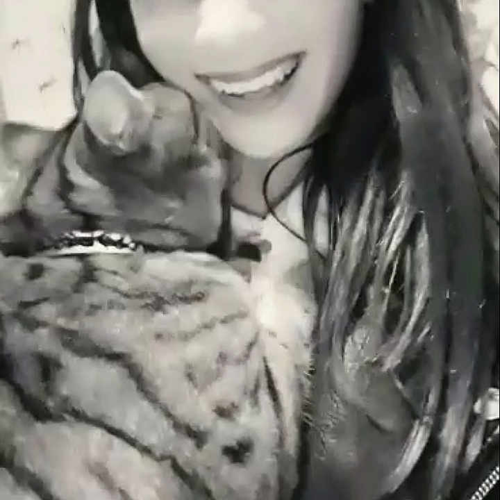 Louna