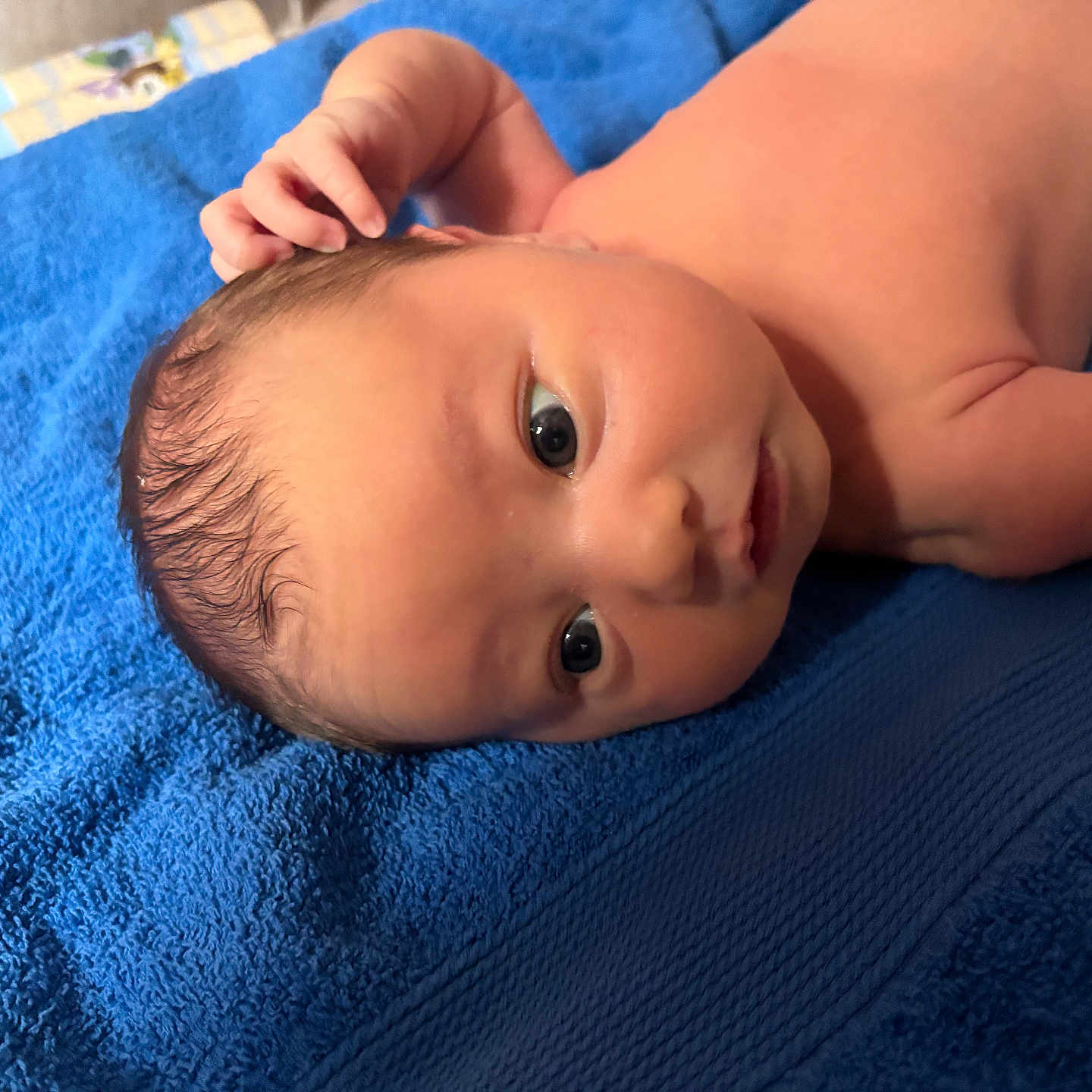 Milana-Maria joined the competition — help win amazing prizes! arm, baby, blue_towel, child, close_up, curious, cute, eyes, face, head, human, indoors, infant, lying_down, newborn, portrait, resting, skin, soft_lighting, young