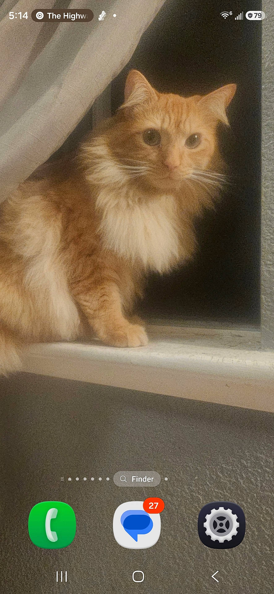Kodak joined the competition — help win amazing prizes! animal, app_icons, cat, curious, dark_background, feline, fluffy, fur, indoor, ledge, looking, mobile_screen, night, notification, orange_cat, pet, phone_screenshot, technology, whiskers, window