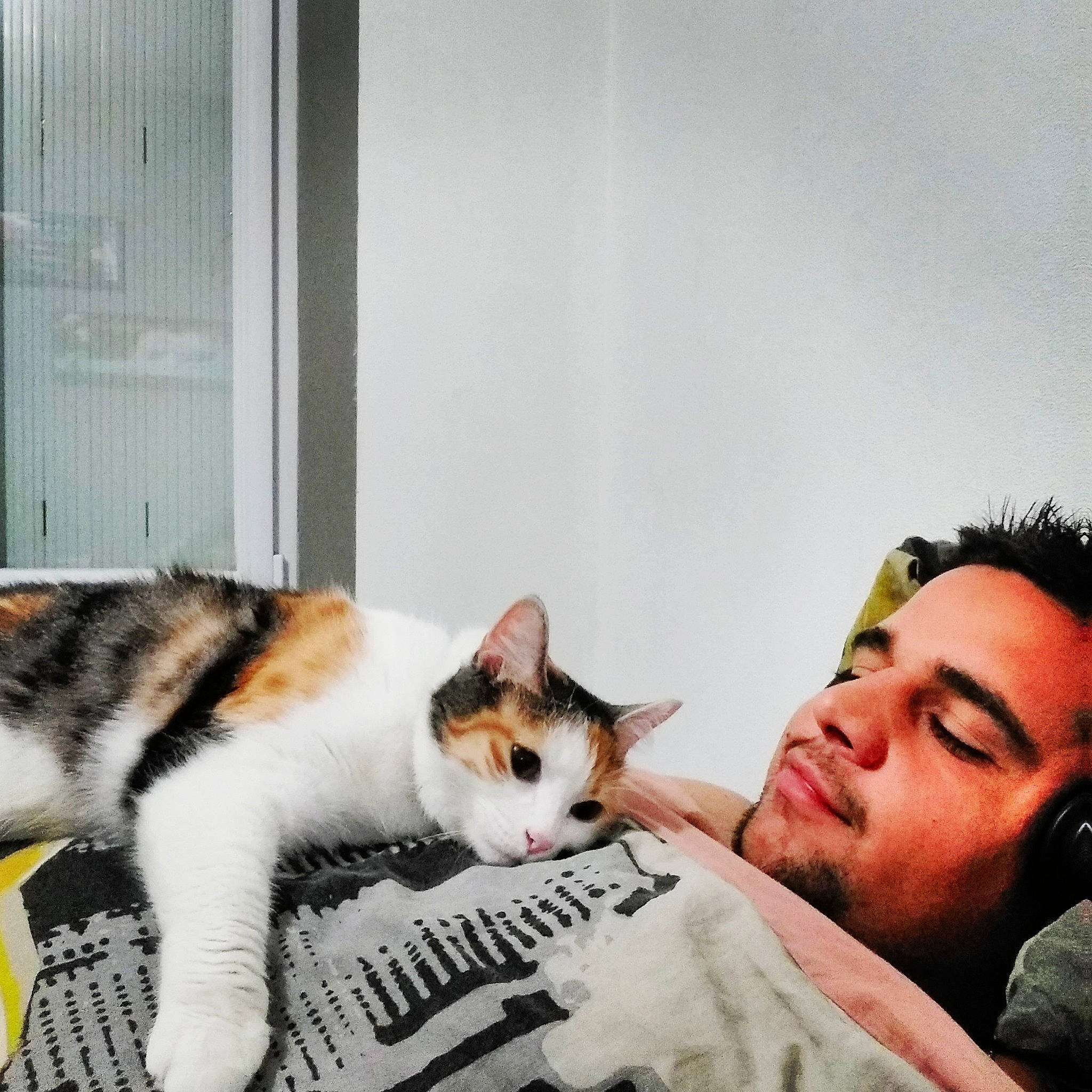 Dalia participe au concours pour gagner de l'argent avec cette photo : carnivoran, cat, cat_like_mammal, fur, kitten, mammal, person, small_to_medium_sized_cats, snout, whiskers