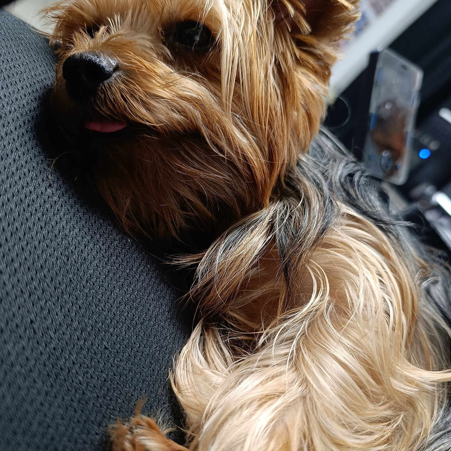 Ruby