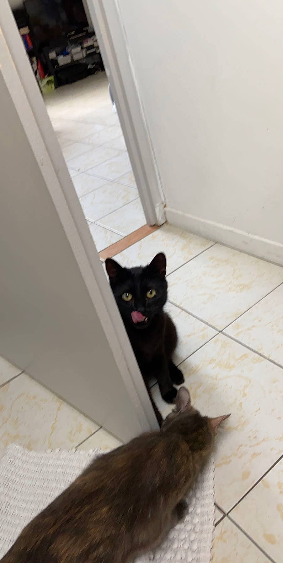 Oscar