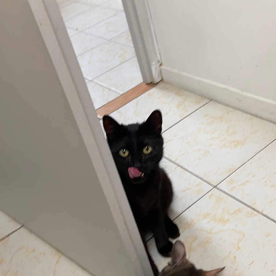 Oscar