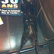 Salem participe au concours pour gagner de l'argent avec cette photo :