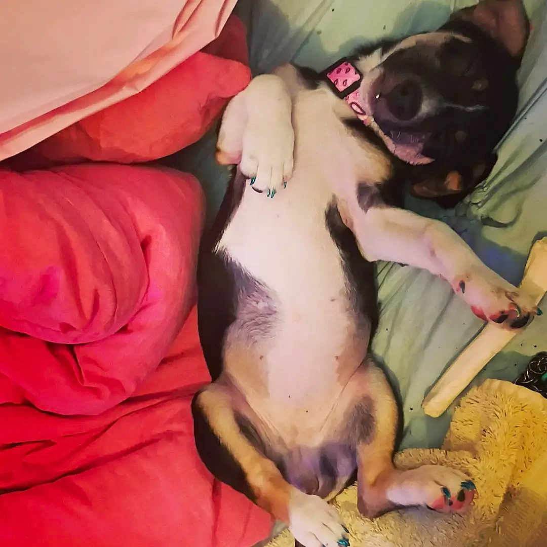 Chloe
