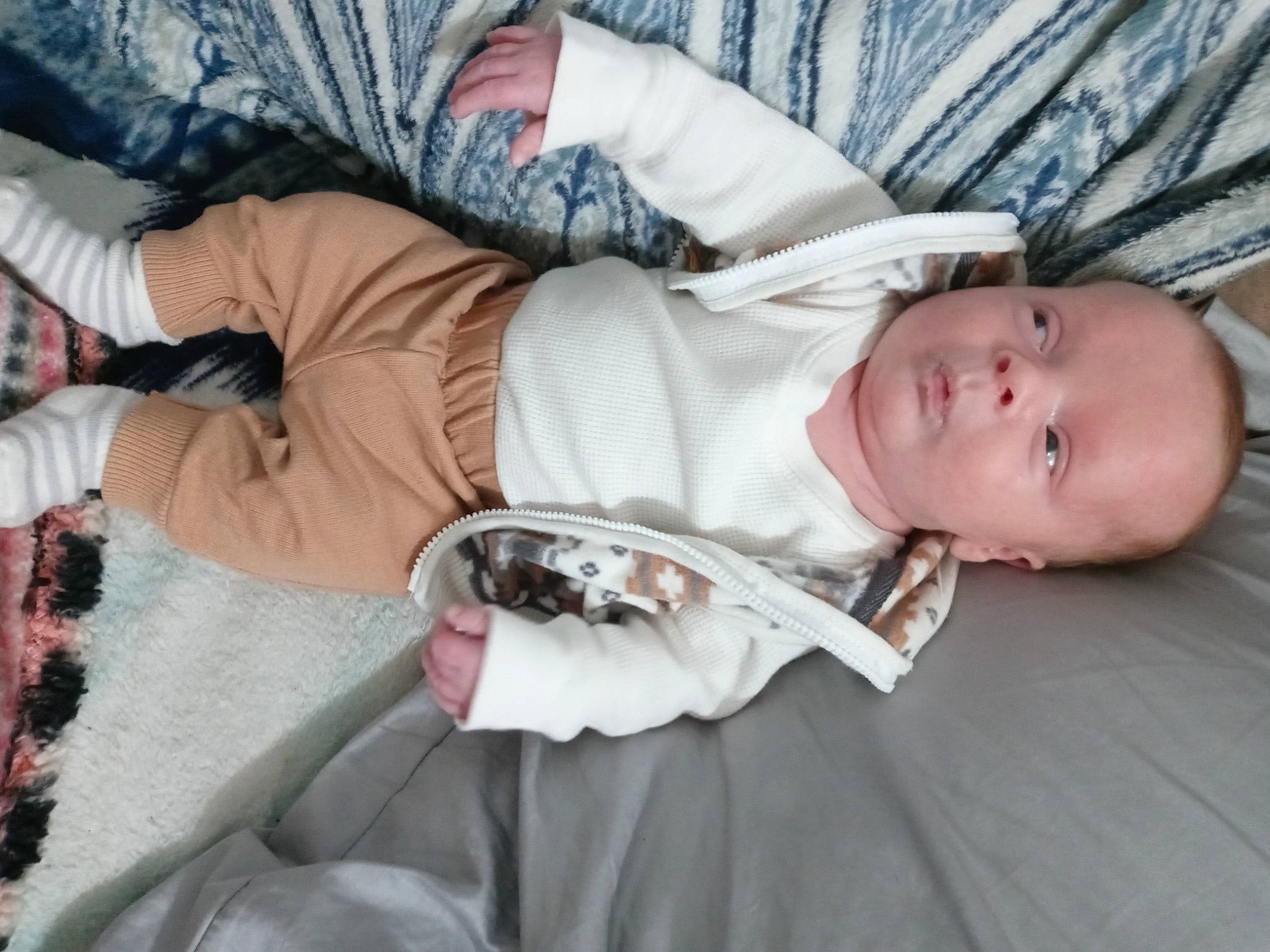 Axl joined the competition — help win amazing prizes! baby, baby_products, baby_toddler_clothing, child, comfort, fur, human_body, linens, mammal, nap, pattern, person, room, sitting, sleep, sleeve, toddler, tree, vertebrate, wood