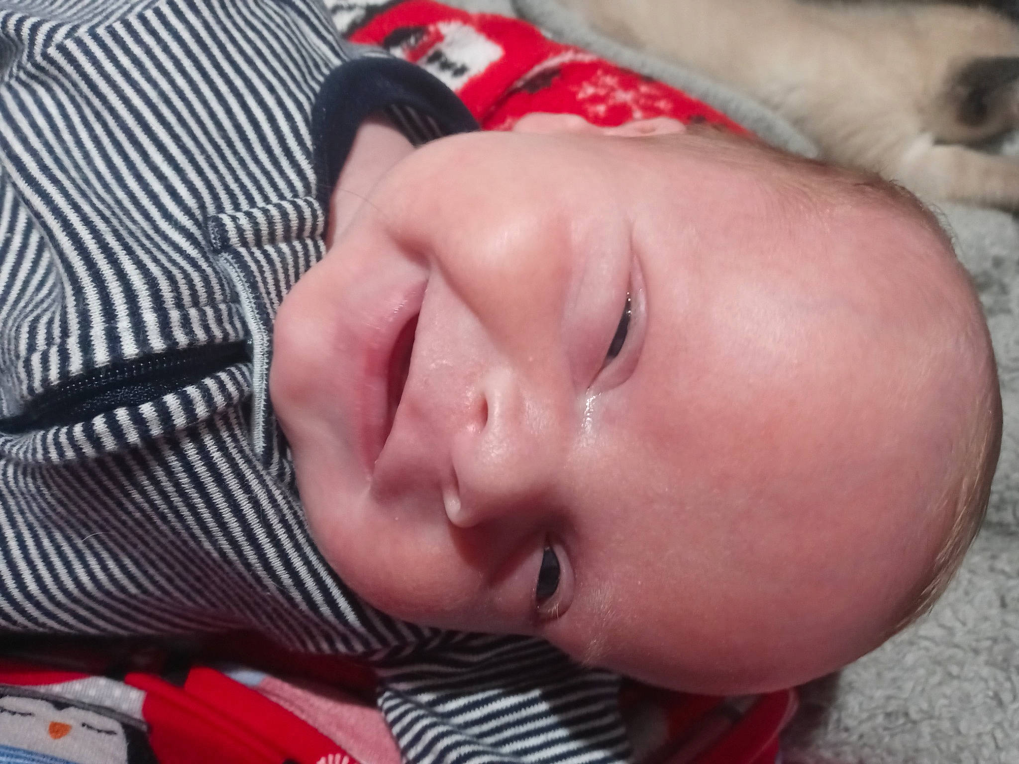 Axl is registered to the contest to win money with this photo: baby, bedtime, cheek, child, eye, eyebrow, eyelash, forehead, fun, happy, iris, joy, leisure, lip, mammal, mouth, nail, nose, person, skin