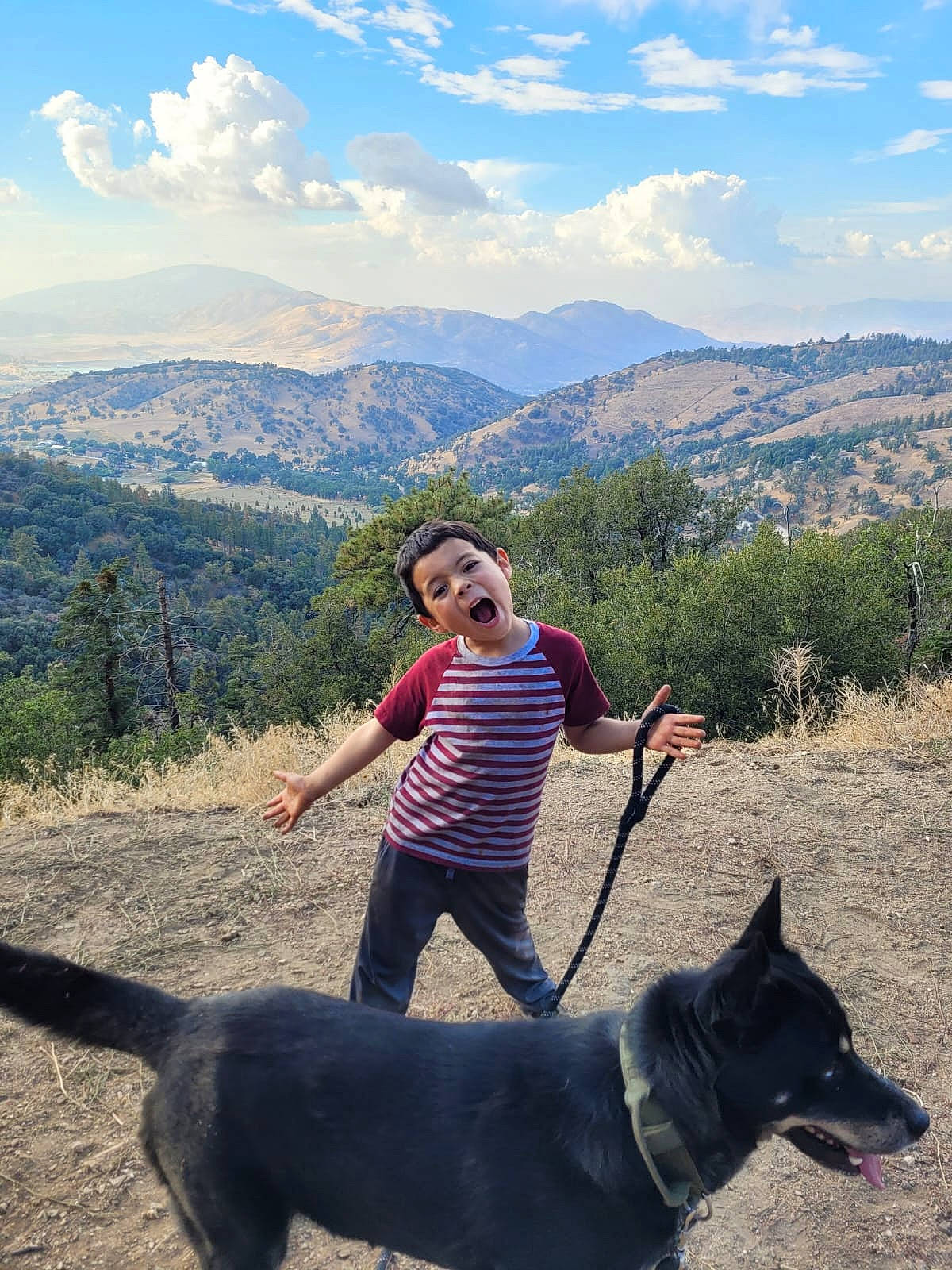 Abel joined the competition — help win amazing prizes! adventure, carnivore, cloud, cumulus, dog, dog_breed, fun, hill, landscape, leash, leisure, mountain, mountain_range, person, plant, recreation, sky, smile, travel, tree