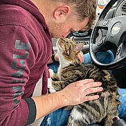 Sable is registered to the contest to win money with this photo: man, cat, tabby_cat, car_interior, steering_wheel, maroon_hoodie, jeans, seatbelt, hand, petting, affection, closeup, indoor, window, vehicle, dashboard, seat, animal, human, interaction