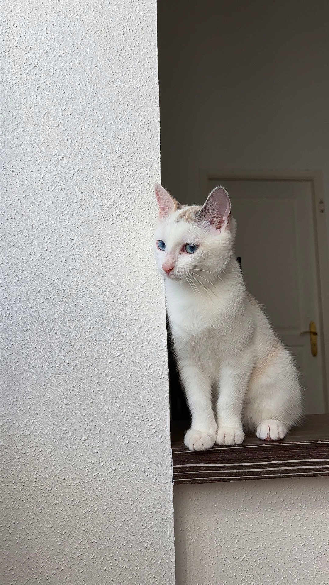 Nala